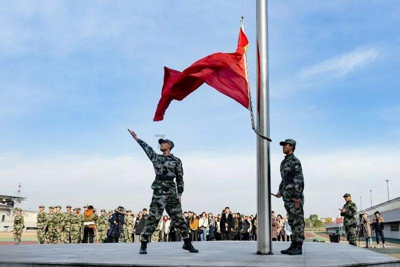 拯救精灵的土地10